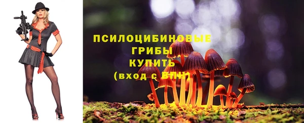 молекула духа Баксан