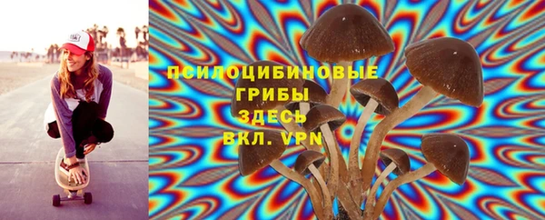молекула духа Баксан